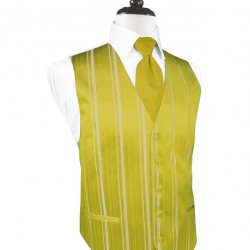 WILLOW STRIPED SATIN VEST by Cardi